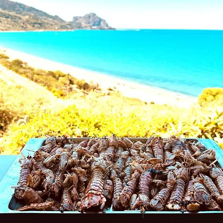 Ch Exclusive * Cefalù